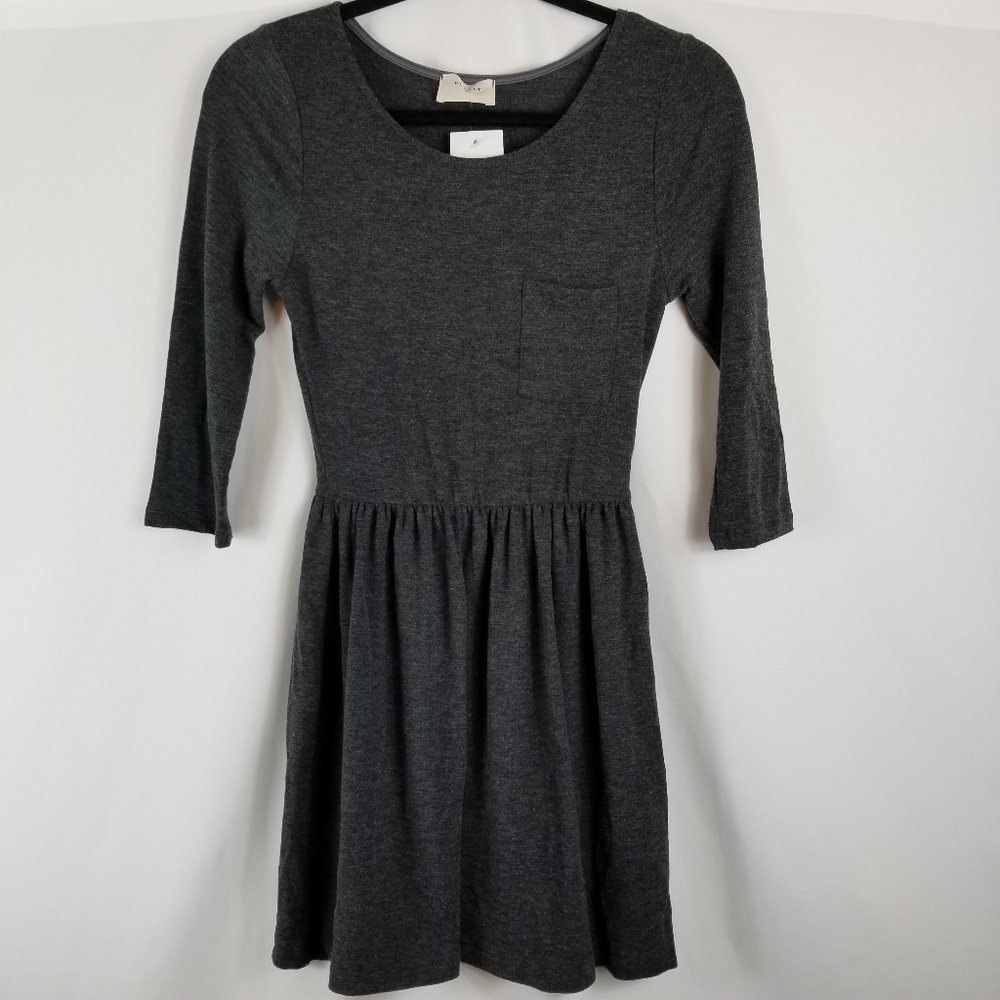Everly Charcoal Gray Skater Dress Size Small